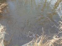 20250101_134136 (1024x768).jpg